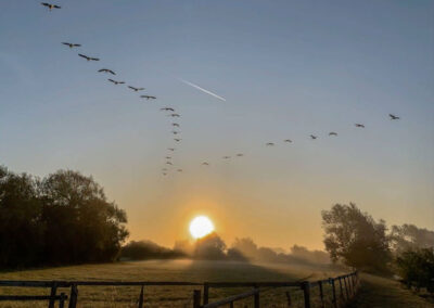 As the sun rises at Babcock Hythe - an area created by Nature England to encourage ground nesting birds