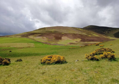 A barren but verdant landscape more reminiscent of Scotland or Yorkshire rather than the South East of England.