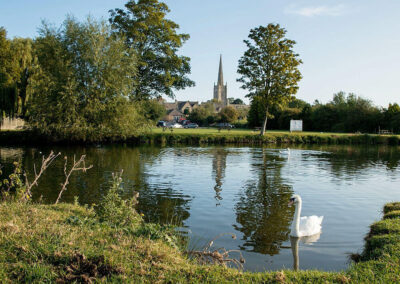 Swans and Steeples.